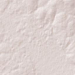 Guarambaré Terrain Map
