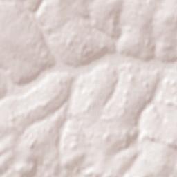 Repatriación Terrain Map