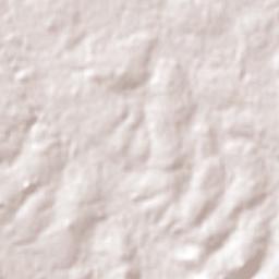 Independencia Terrain Map