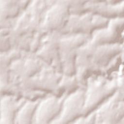 Cedrales Terrain Map