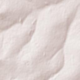 Ekangala Terrain Map