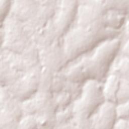 Santa Rita Terrain Map