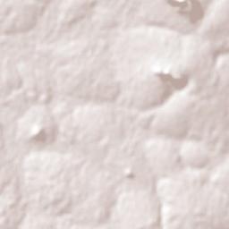 Carapeguá Terrain Map
