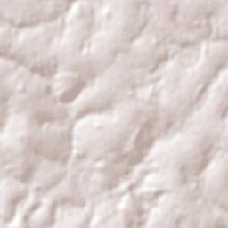 Naranjal Terrain Map