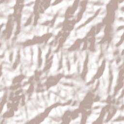 Rio Negro Terrain Map