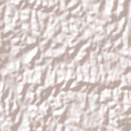 Campo Alegre Terrain Map