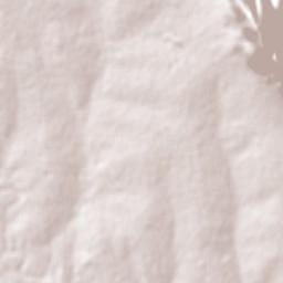 Vuvulane Terrain Map