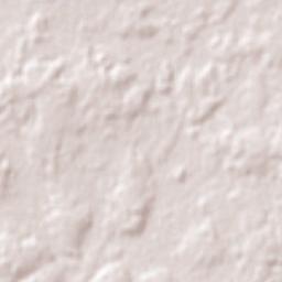 Buena Vista Terrain Map