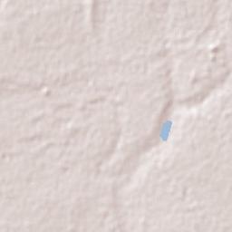 Lichtenburg Terrain Map