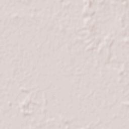 San Francisco de Laishí Terrain Map