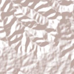 Flor da Serra do Sul Terrain Map