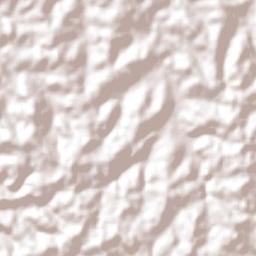 Pato Branco Terrain Map