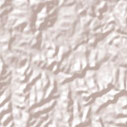 Rio Negrinho Terrain Map