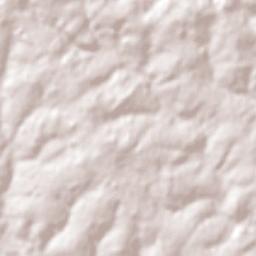 Colonia Carlos Antonio López Terrain Map