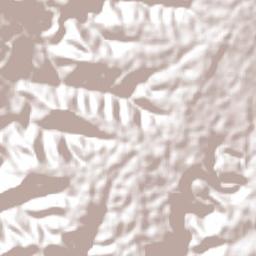 Palma Sola Terrain Map