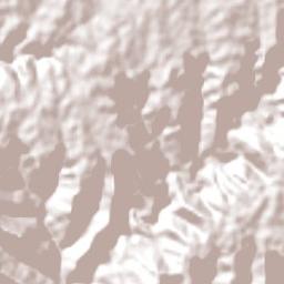 Campo Erê Terrain Map