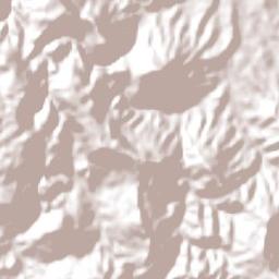 Bela Vista do Toldo Terrain Map