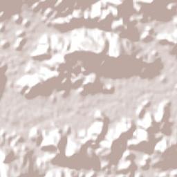 Guaramirim Terrain Map