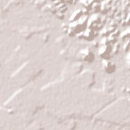 Araquari Terrain Map