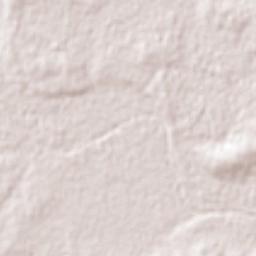 Mitchell Terrain Map