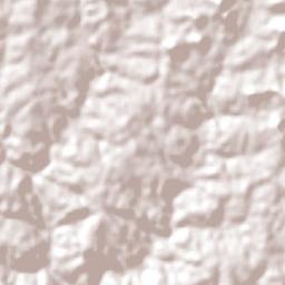 Departamento de San Pedro Terrain Map