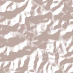 Santiago do Sul Terrain Map