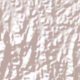 São João do Itaperiú Terrain Map