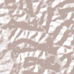 São Miguel do Oeste Terrain Map