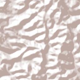 Jardinópolis Terrain Map