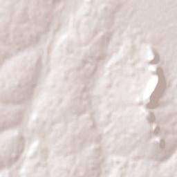 Santa María Terrain Map