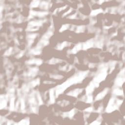 Descanso Terrain Map