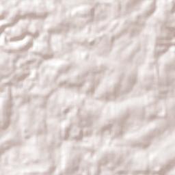 Puerto Leoni Terrain Map