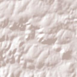 Trinidad Terrain Map