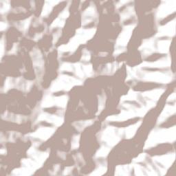 São João do Oeste Terrain Map