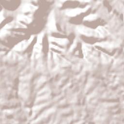 Campo Grande Terrain Map