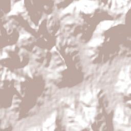 Rio do Sul Terrain Map