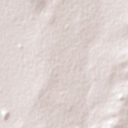 Wolmaransstad Terrain Map