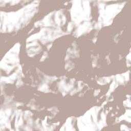 Presidente Nereu Terrain Map