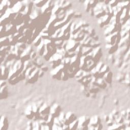 São João Batista Terrain Map