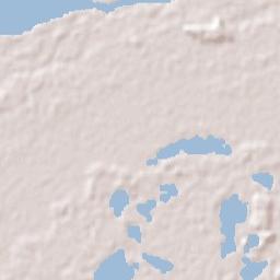 Departamento de San Cosme Terrain Map