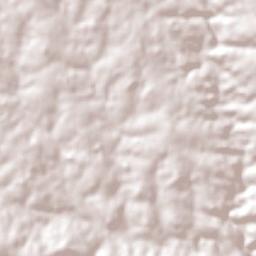 Campo Viera Terrain Map