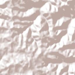 Frederico Westphalen Terrain Map