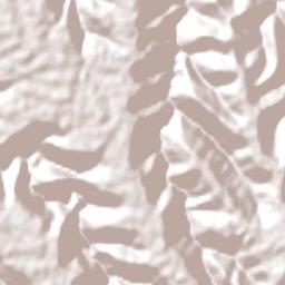 Erval Grande Terrain Map