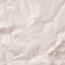 Fezile Dabi District Municipality Terrain Map