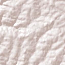 General Alvear Terrain Map