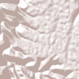 Faxinalzinho Terrain Map