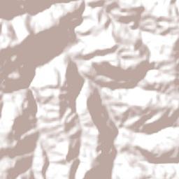 Vidal Ramos Terrain Map