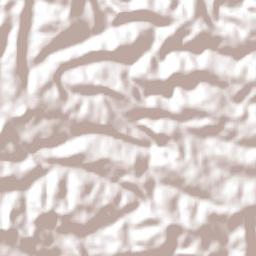 Rodeio Bonito Terrain Map