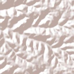 Trindade do Sul Terrain Map