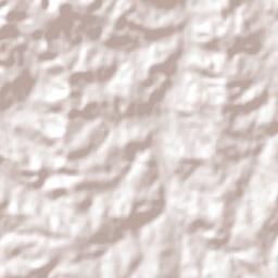 Departamento de Leandro N. Alem Terrain Map